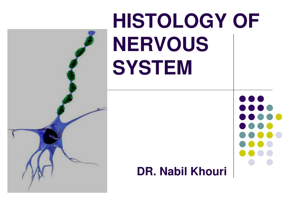 histology of nervous system