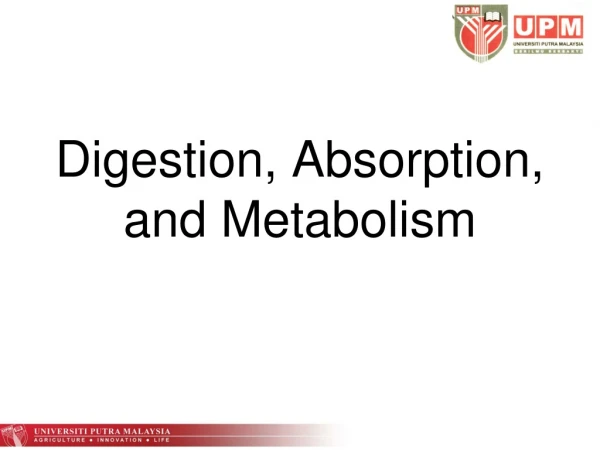 Digestion, Absorption, and Metabolism