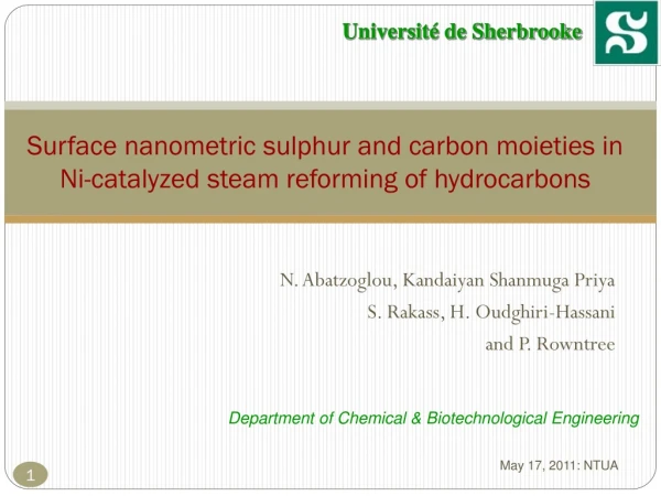 Surface nanometric sulphur and carbon moieties in Ni-catalyzed steam reforming of hydrocarbons