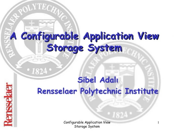 A Configurable Application View Storage System