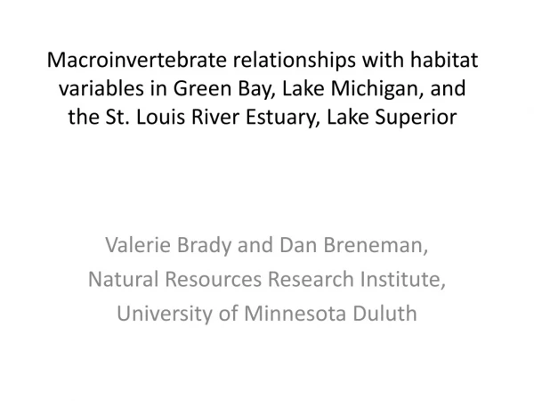 Valerie Brady and Dan Breneman, Natural Resources Research Institute,