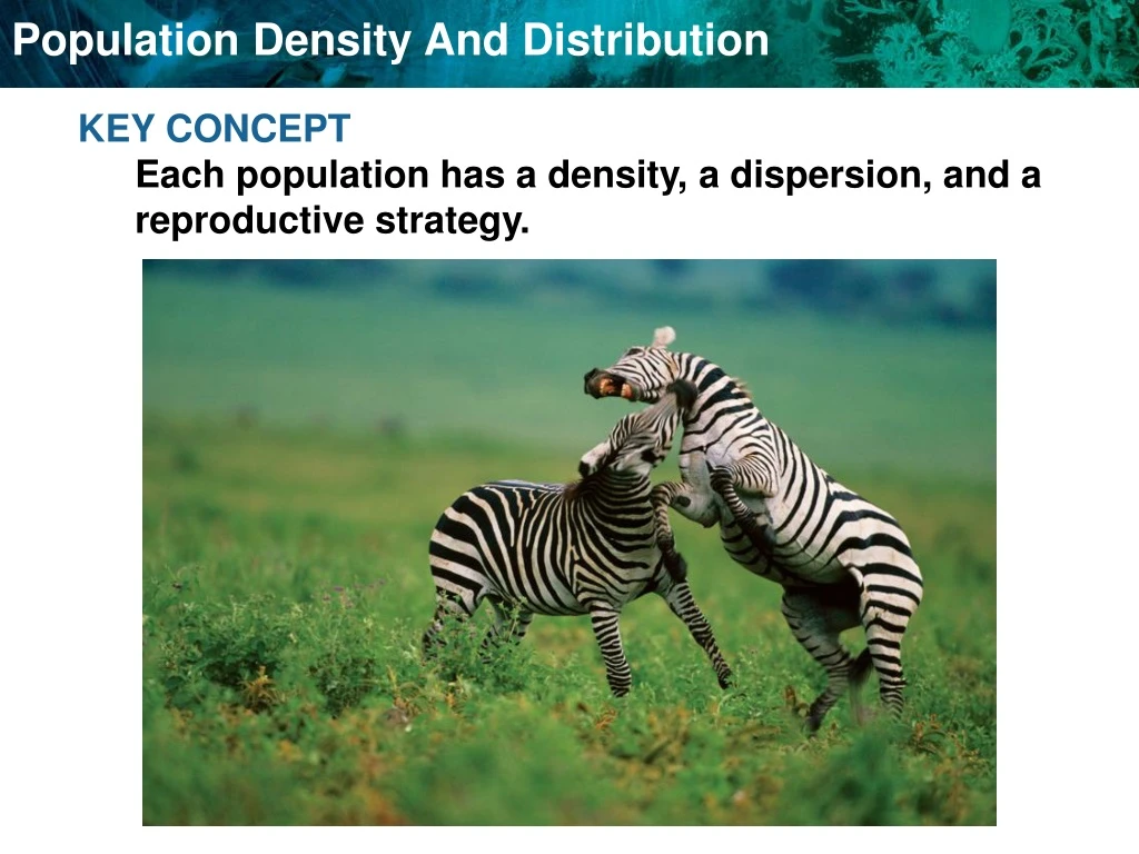 key concept each population has a density