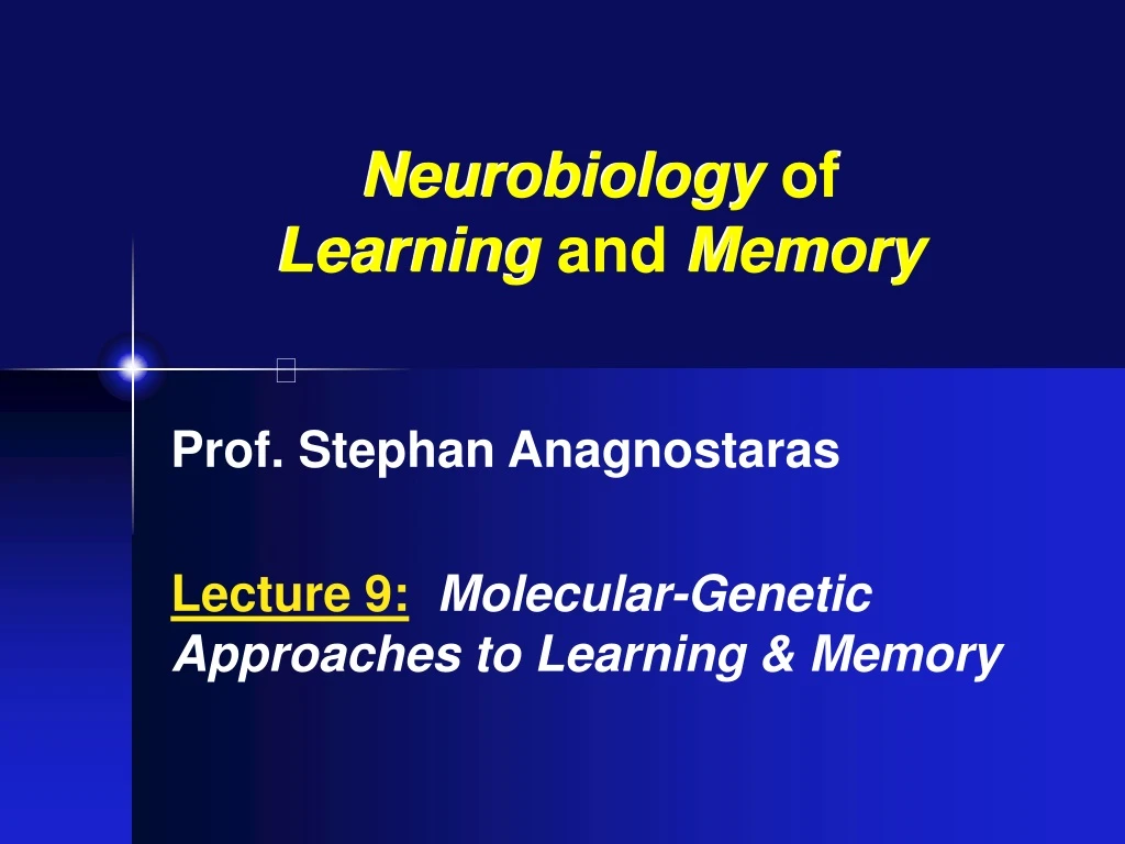 neurobiology of learning and memory