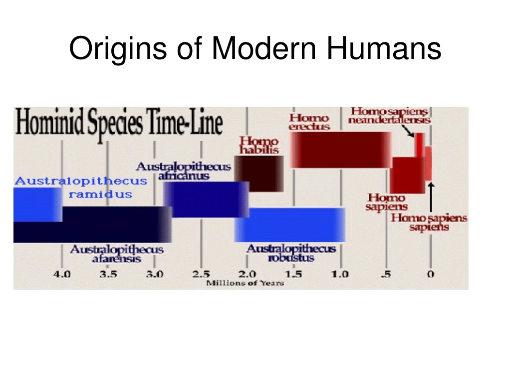 origins of modern humans