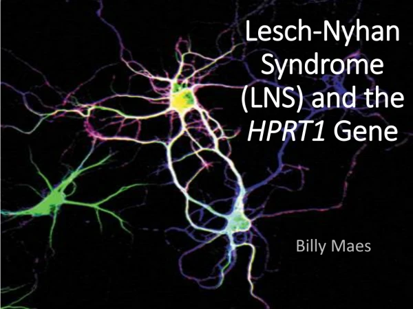 Lesch-Nyhan Syndrome (LNS) and the  HPRT1  Gene