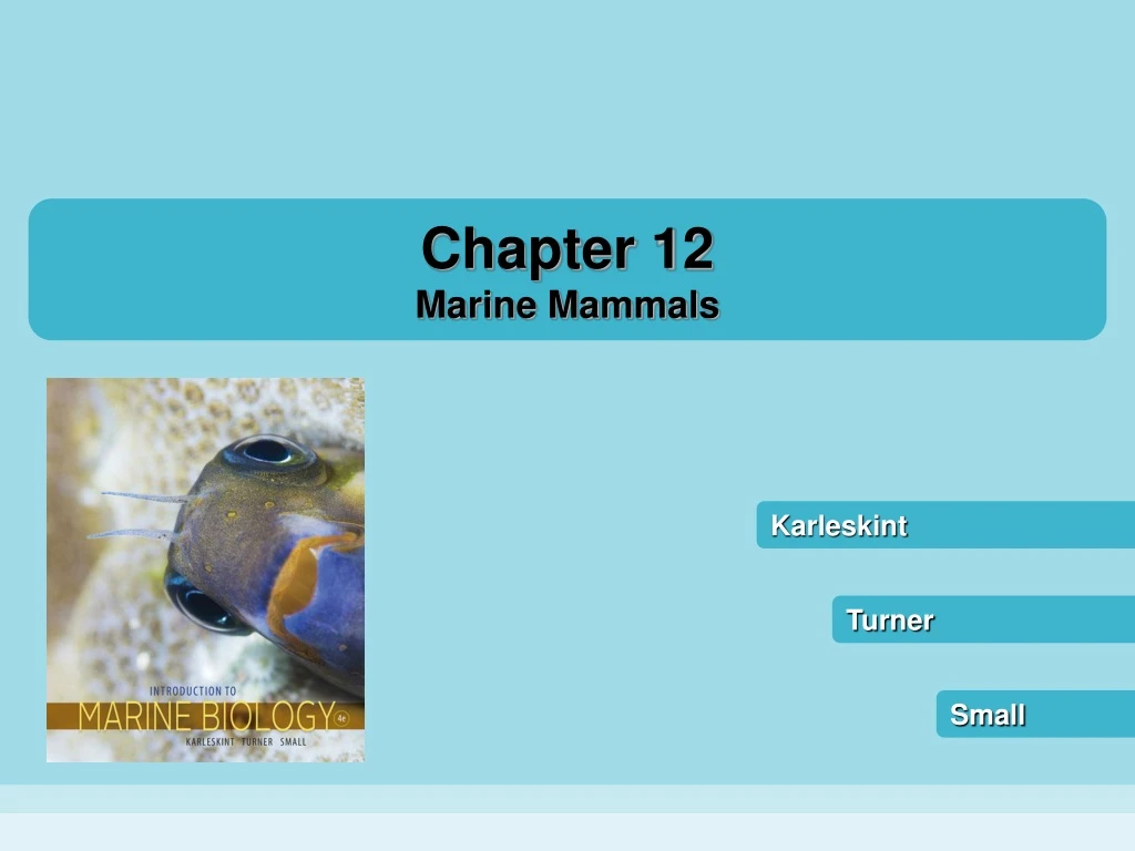 chapter 12 marine mammals