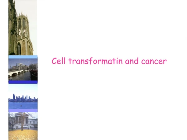 Cell transformatin and cancer