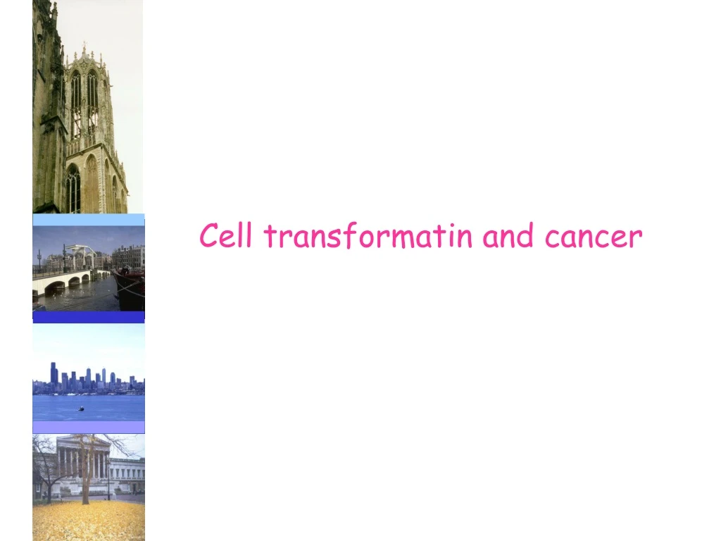 cell transformatin and cancer