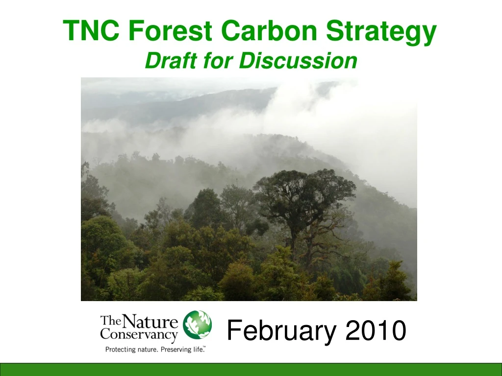 tnc forest carbon strategy draft for discussion