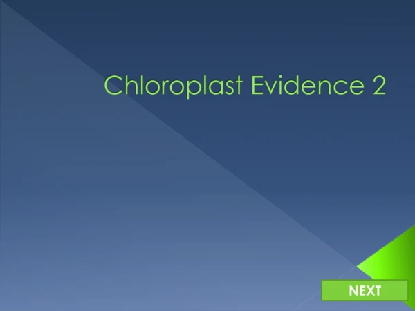 Chloroplast Evidence 2
