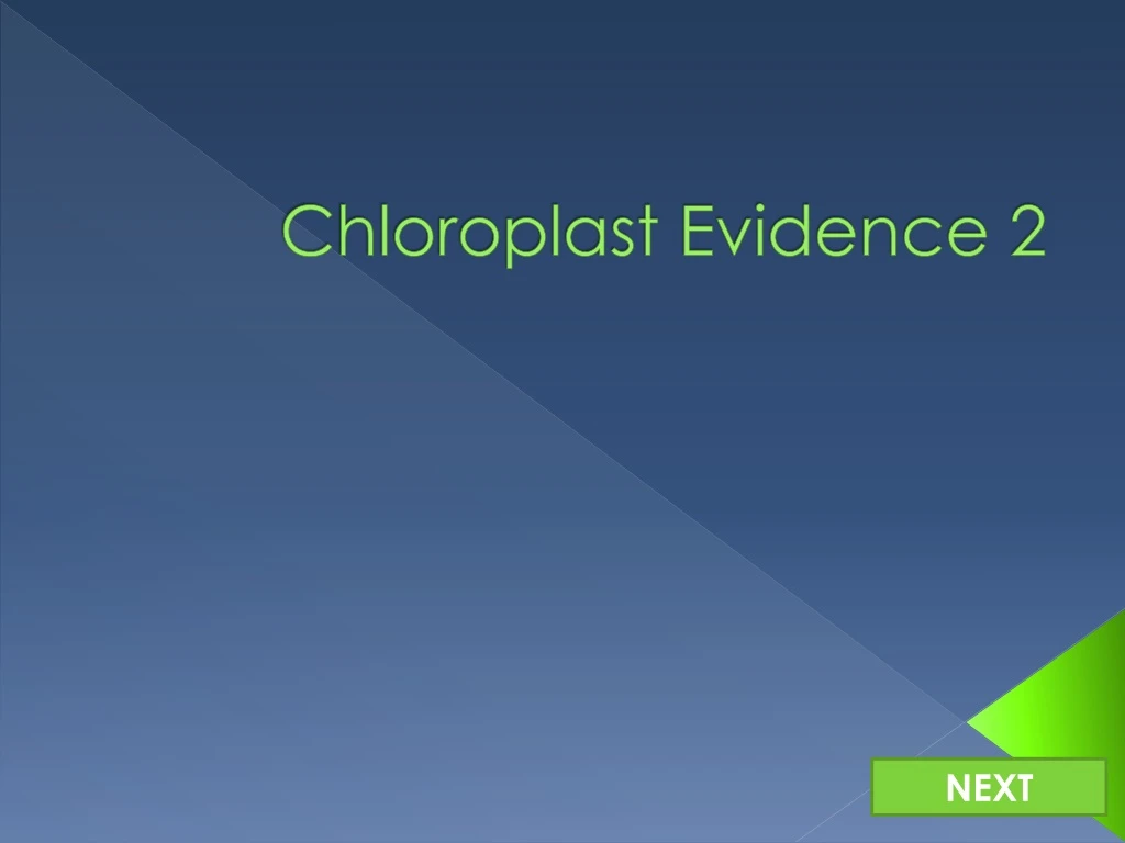 chloroplast evidence 2