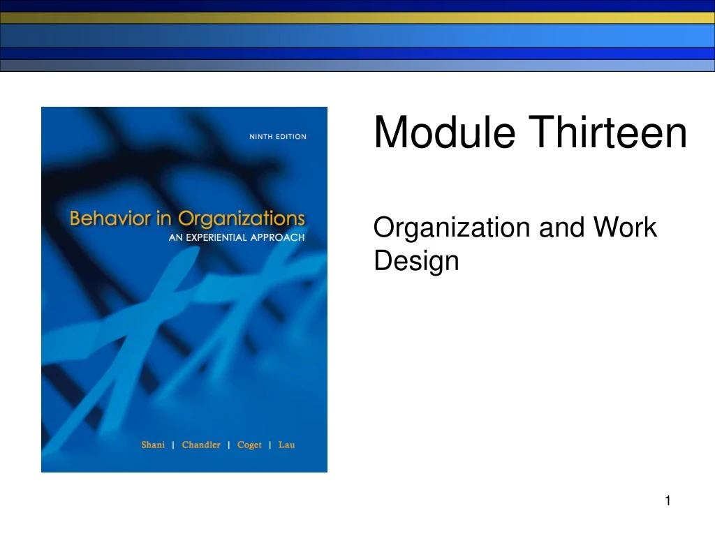 module thirteen organization and work design