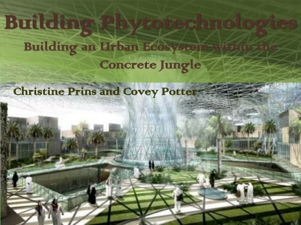 Building  Phytotechnologies Building an Urban Ecosystem within the Concrete Jungle