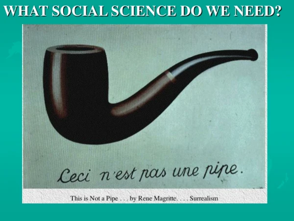 WHAT SOCIAL SCIENCE DO WE NEED?