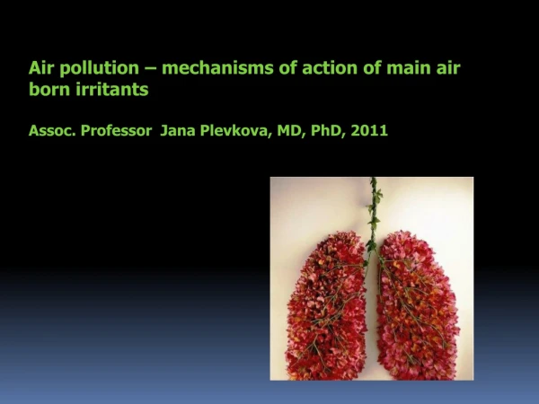 Air pollution – mechanisms of action of main air born irritants