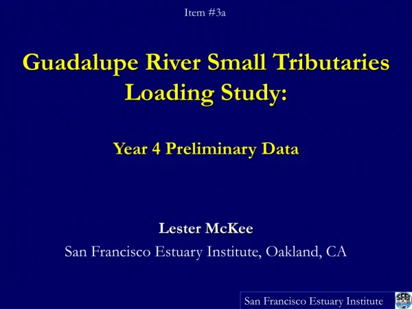 Guadalupe River Small Tributaries Loading Study:  Year 4 Preliminary Data