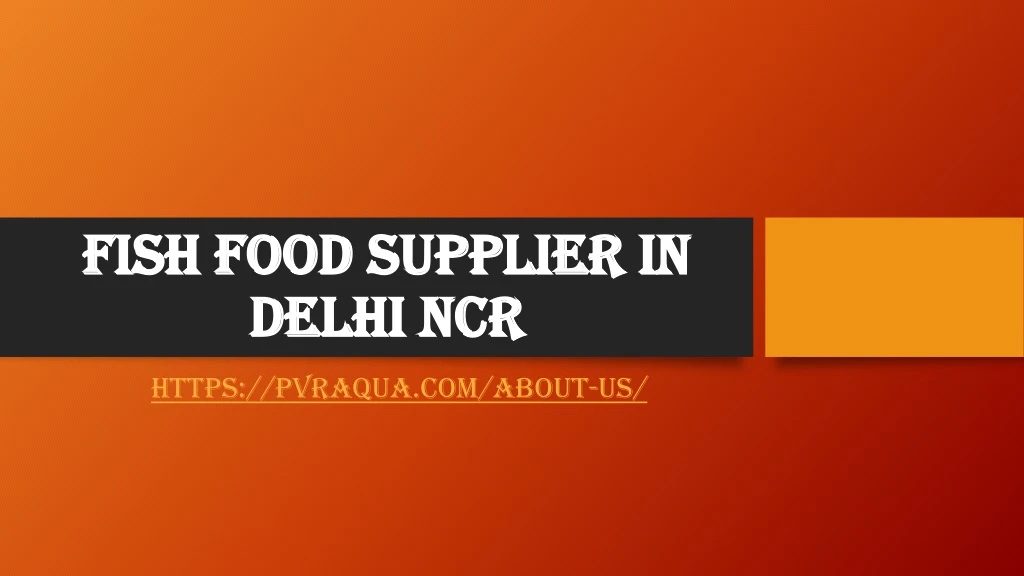 fish food supplier in delhi ncr