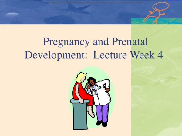 Pregnancy and Prenatal 		   Development :  Lecture Week 4