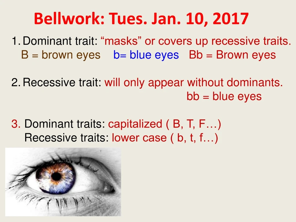 bellwork tues jan 10 2017