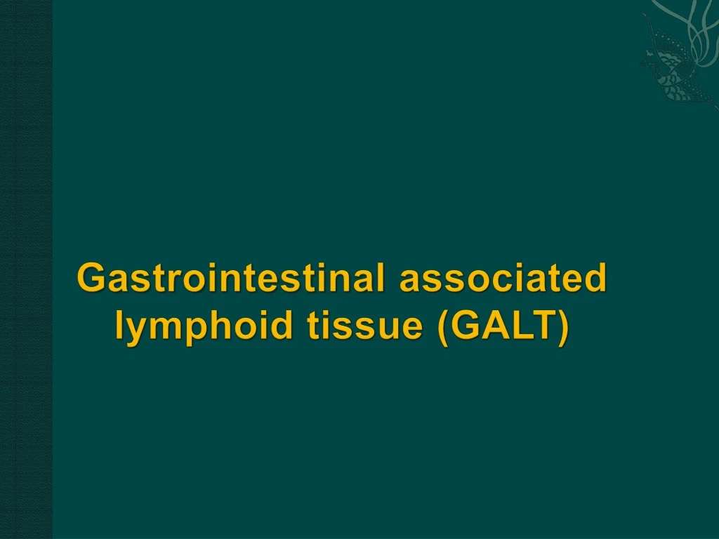 gastrointestinal associated lymphoid tissue galt
