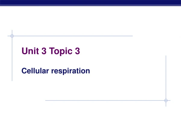 Unit 3 Topic 3