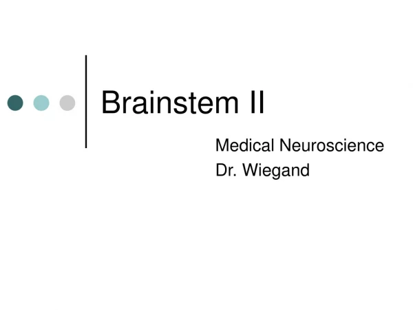 Brainstem II