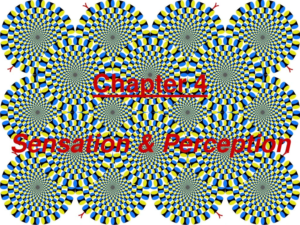 chapter 4 sensation perception