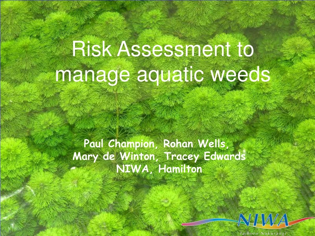 risk assessment to manage aquatic weeds