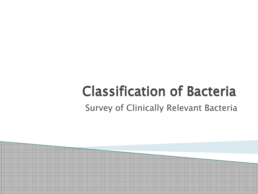 classification of bacteria