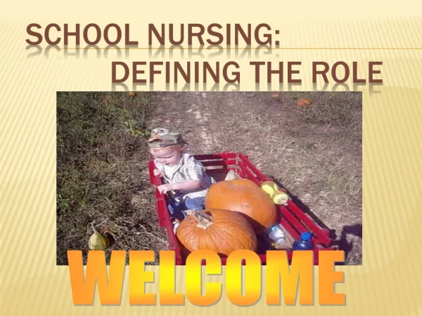 School Nursing:   		Defining the Role