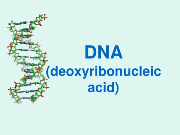 DNA (deoxyribonucleic acid)