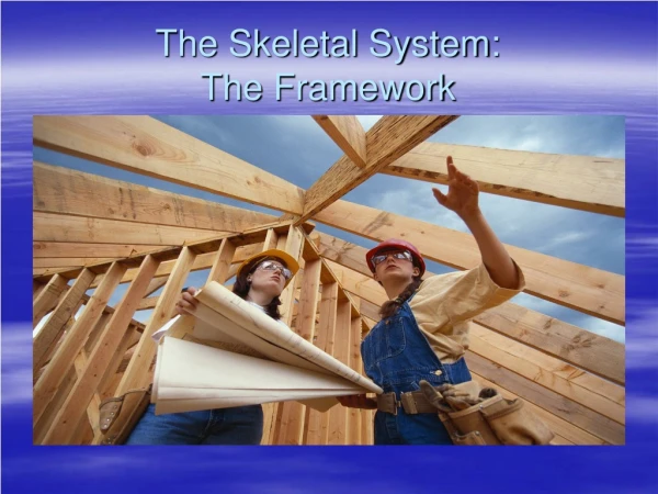 The Skeletal System: The Framework