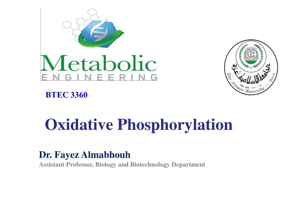 oxidative phosphorylation