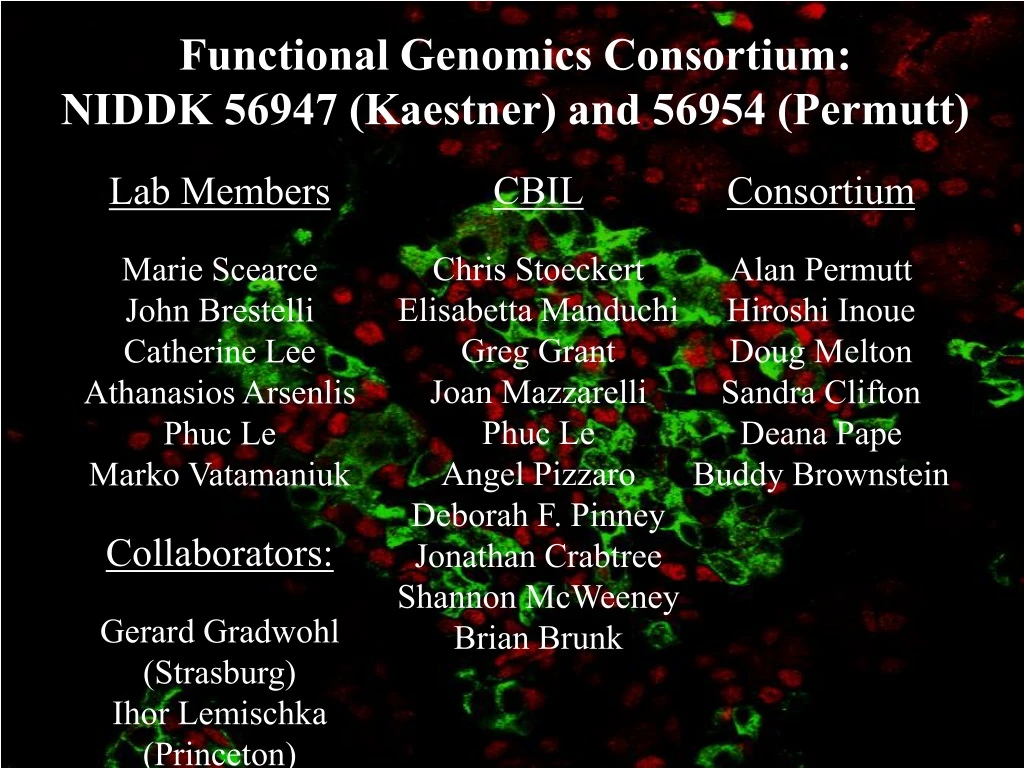 functional genomics consortium niddk 56947