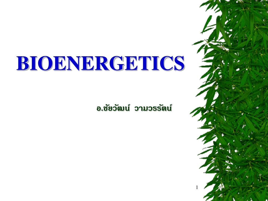 bioenergetics