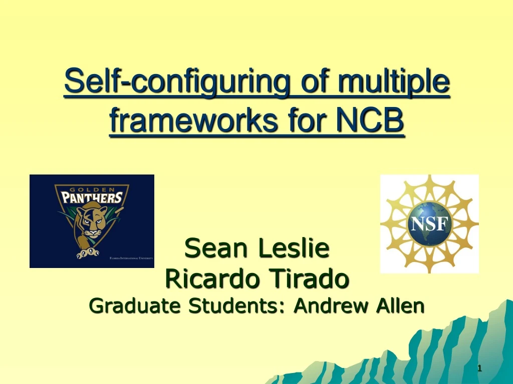 self configuring of multiple frameworks for ncb