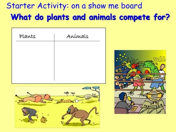 Starter Activity: on a show me board What do plants and animals compete for?