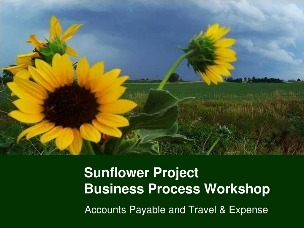 sunflower project business process workshop