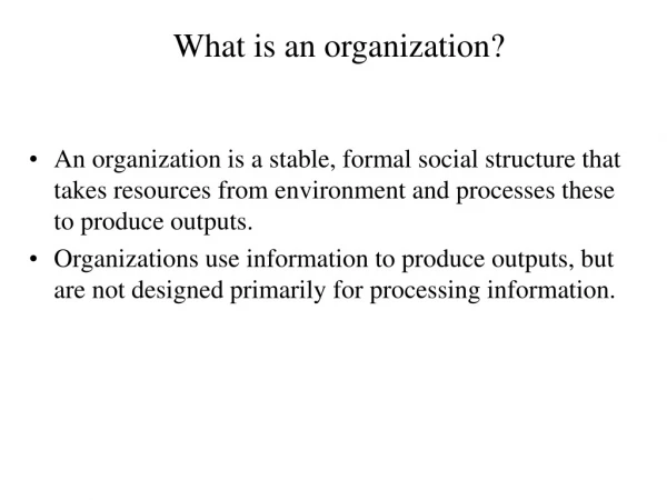 What is an organization?