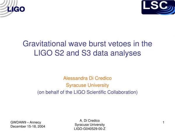 Gravitational wave burst vetoes in the LIGO S2 and S3 data analyses