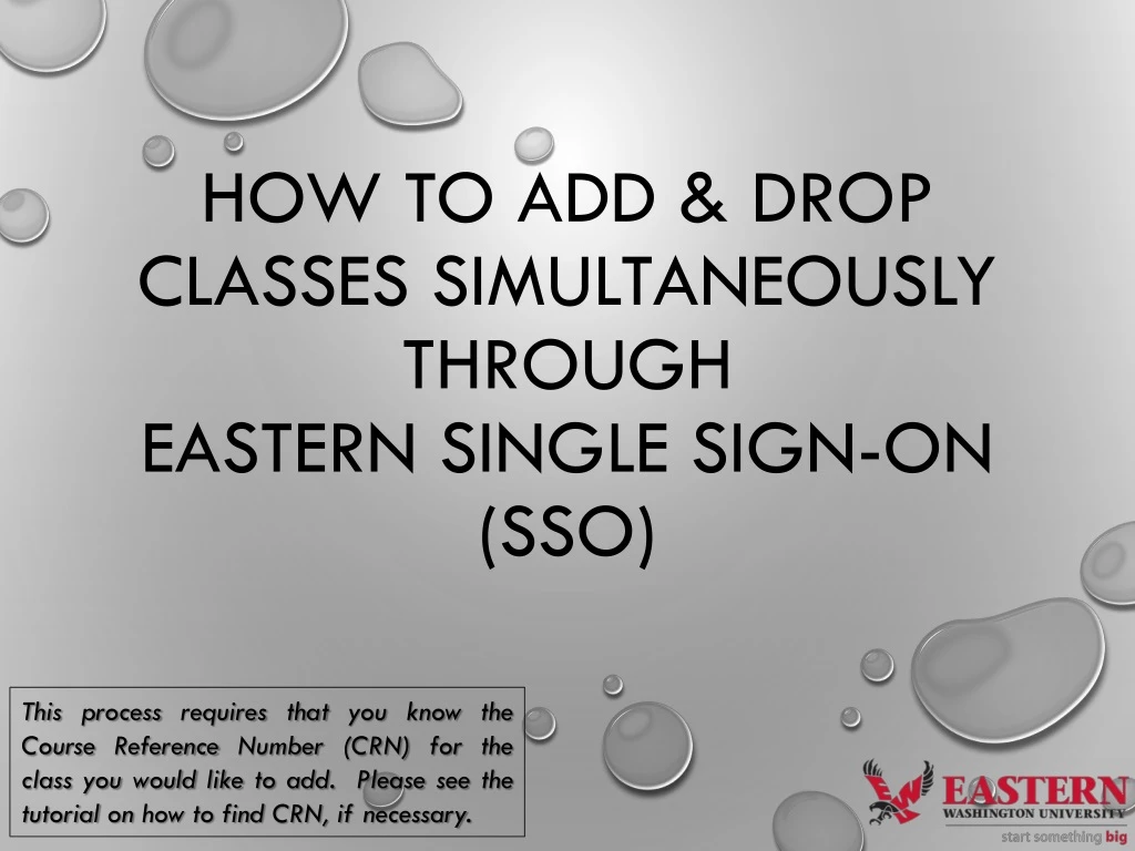 how to add drop classes simultaneously through eastern single sign on sso