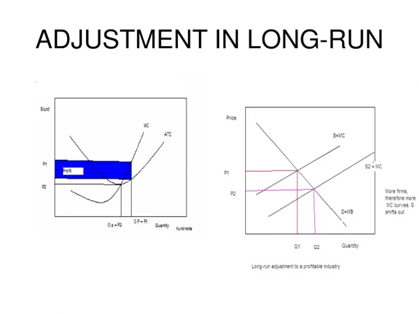 ADJUSTMENT IN LONG-RUN