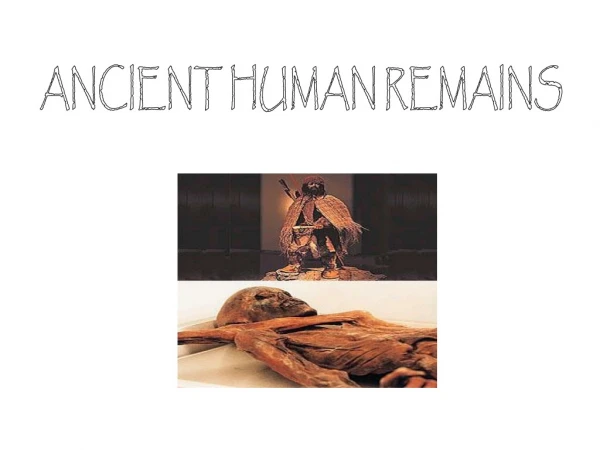 ANCIENT HUMAN REMAINS