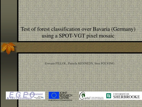 Test of forest classification over Bavaria (Germany) using a SPOT-VGT pixel mosaic