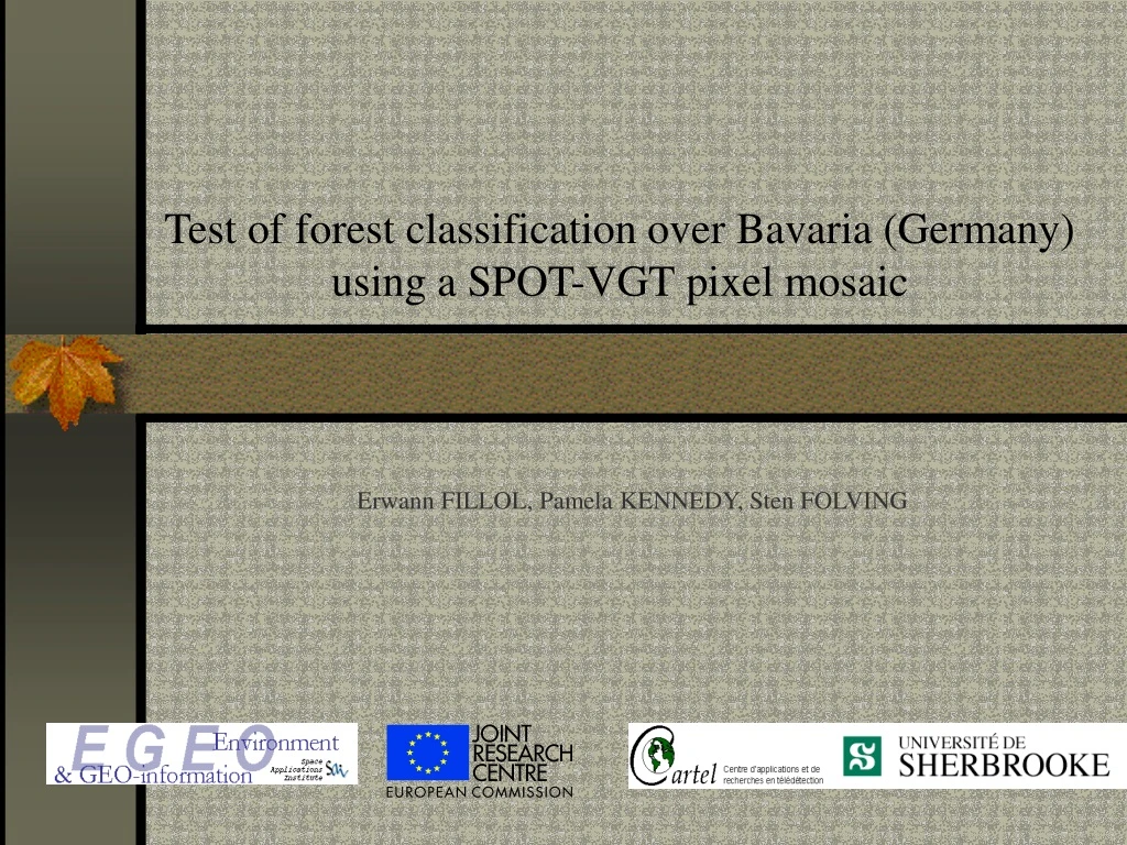 test of forest classification over bavaria germany using a spot vgt pixel mosaic
