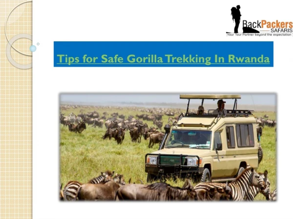 Tips for Safe Gorilla Trekking In Rwanda