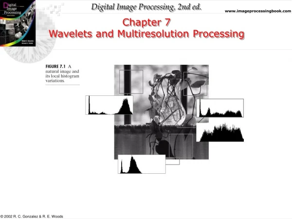 Chapter 7 Wavelets and Multiresolution Processing