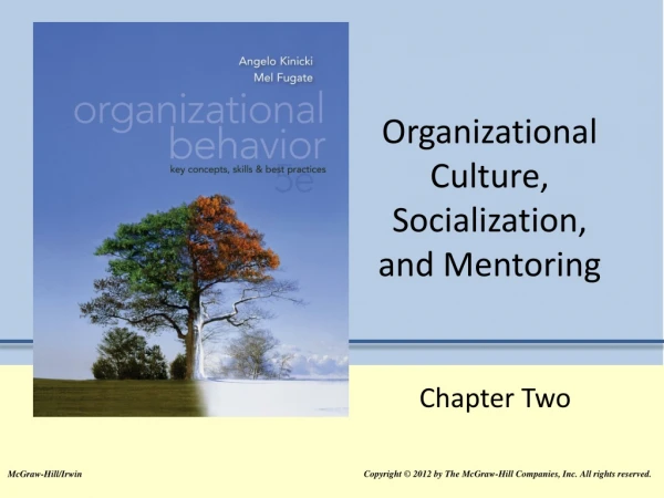 Organizational Culture, Socialization, and Mentoring