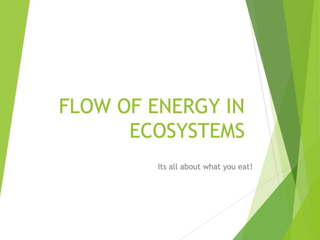 flow of energy in ecosystems