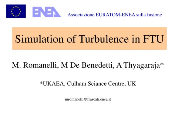 Simulation of Turbulence in FTU